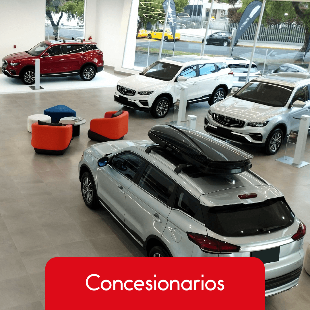 Concesionarios - PMJ