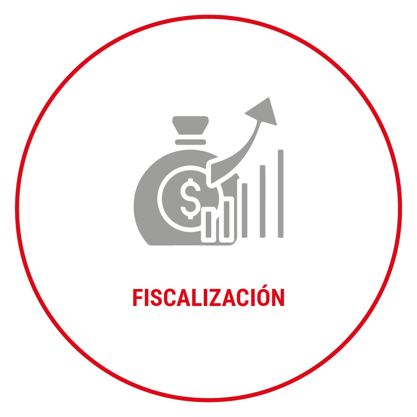 FISCALIZACION copia-3